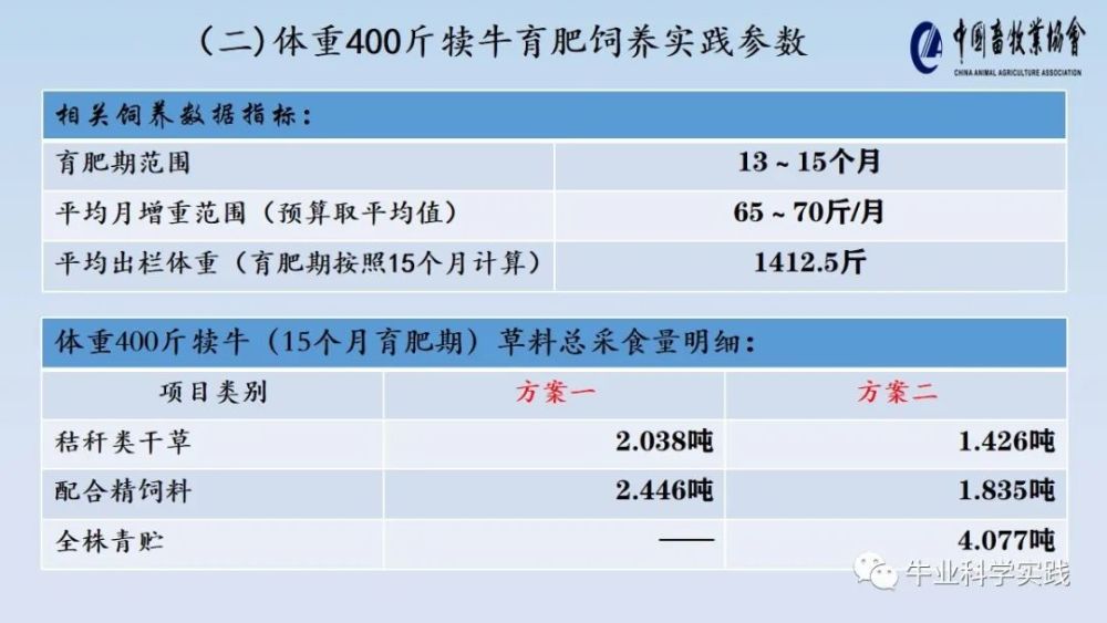 纵报 第16页